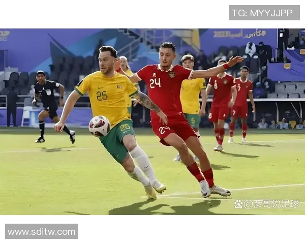 足球明星风采集锦 展现绿茵场上魅力与奋斗精神